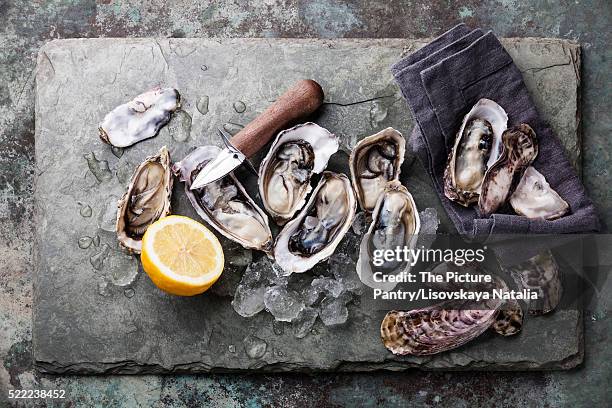 oysters on stone plate with ice and lemon - half open stock pictures, royalty-free photos & images