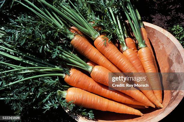 carrots in bowl - carrot fotografías e imágenes de stock