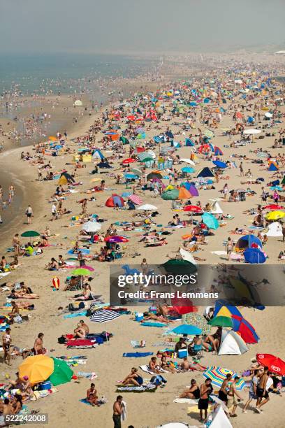 netherlands, scheveningen, people sunbathing on beach - beach shelter stockfoto's en -beelden