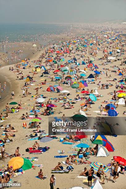netherlands, scheveningen, people sunbathing on beach - netherlands aerial stock pictures, royalty-free photos & images