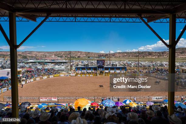 Native Rodeo Fair 31 Navajo Nation Fair Stock Photos, High-Res Pictures, and Images ...