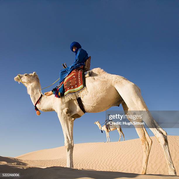 middle eastern men on a camel - hugh sitton tunisia stock pictures, royalty-free photos & images