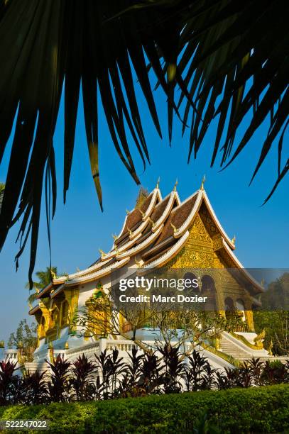 wat ho pha bang temple - laos stock pictures, royalty-free photos & images