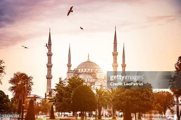 sultan ahmet camii-blaue moschee in istanbul - moschee stock-fotos und bilder