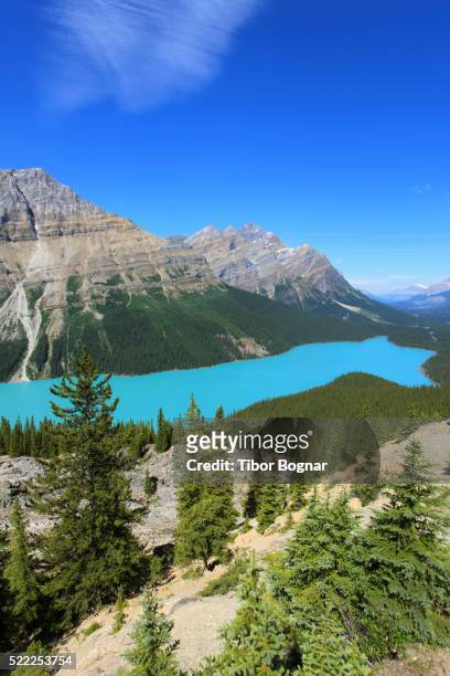 canada, alberta, banff national park, peyto lake, - peyto lake stock pictures, royalty-free photos & images