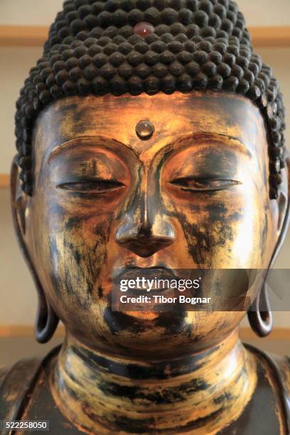 paris, musže guimet, museum, amida buddha - guimet museum stock pictures, royalty-free photos & images