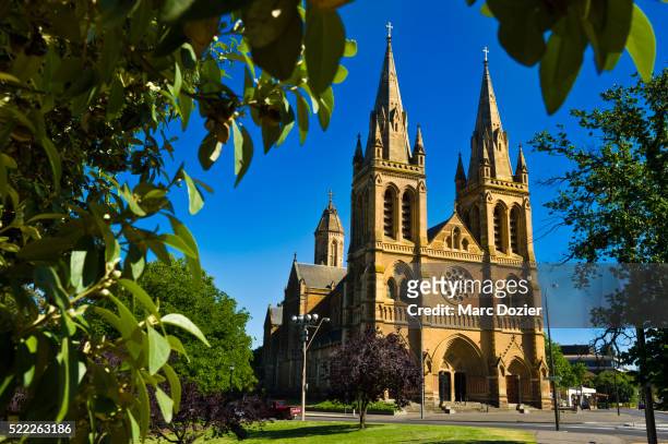 saint peters cathedral in adelaide - adelaide stock-fotos und bilder