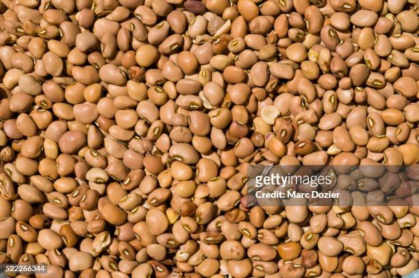 sikama market beans in madagascar - bean stock pictures, royalty-free photos & images