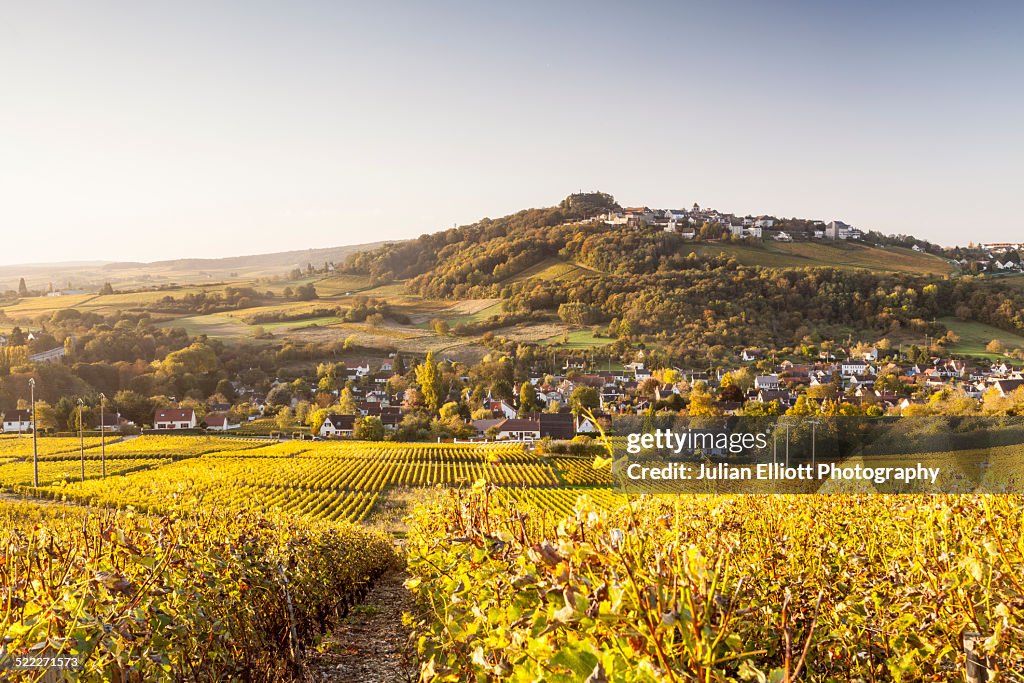 Autumn color in the vineyards of Sancerre, France