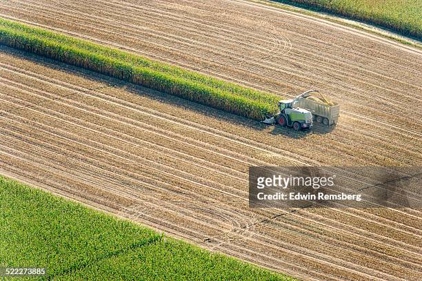 combine harvesting - field stubble stock pictures, royalty-free photos & images