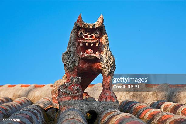 snarling shisa lion statue on taketomi-jima island in japan's okinawa prefecture - okinawa prefecture stock pictures, royalty-free photos & images