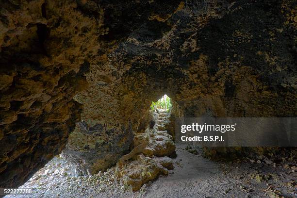 Udo Map 314 Udo Island Stock Photos, High-Res Pictures, and Images - Getty Images