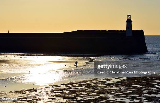 digging bait - whitehaven cumbria stock-fotos und bilder