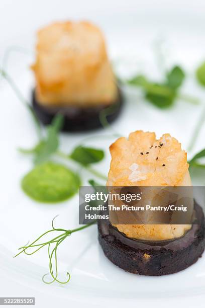 seared scallops on black pudding and lambs lettuce. - black pudding stock pictures, royalty-free photos & images