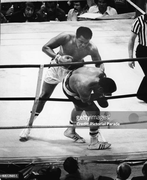 American world heavyweight champion Muhammad Ali stands over American challenger Jimmy Young as he hangs onto the ropes during the fourteenth round...