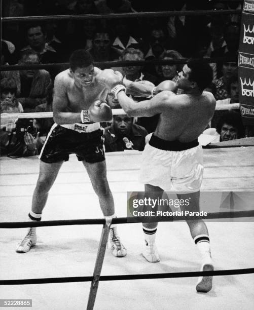 World heavyweight challenger Jimmy Young lands a left blow on champion Muhammad Ali's jaw during the eleventh round of their world championship bout...