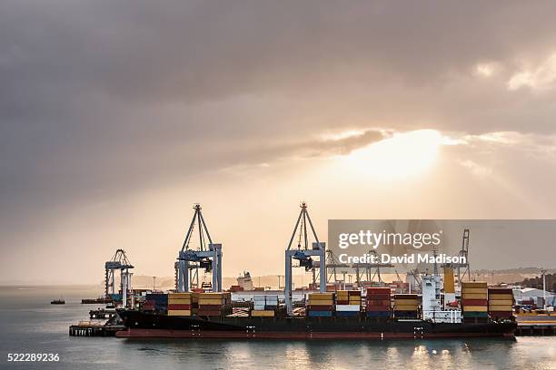 port freight terminals at sunrise in auckland, north island, new zealand - ilha do norte da nova zelândia imagens e fotografias de stock