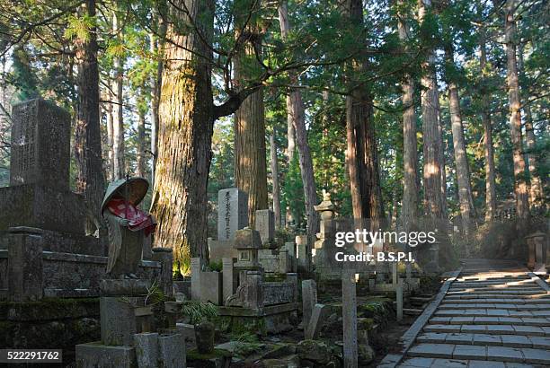 okunoin holy cemetery atop sacred koyasan mountain in wakayama, japan - koya san stock pictures, royalty-free photos & images