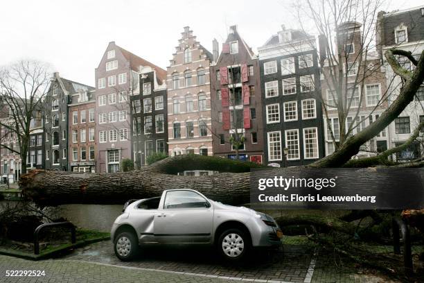 car smashed by fallen trees in amsterdam - floris leeuwenberg stock-fotos und bilder