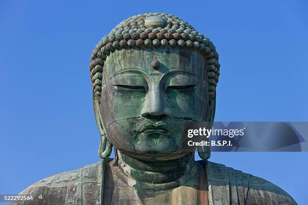 the great buddha in afternoon sunlight in kamakura, japan - großer buddha von kamakura stock-fotos und bilder