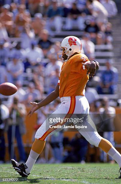 Kicker Reggie Roby of the Tampa Bay Buccaneers punts during a game against Carolina Panthers at Memorial Stadium on October 1, 1995 in Clemson, South...