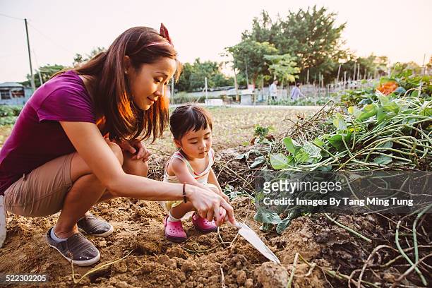 Mom & toddler digging with spade in farm