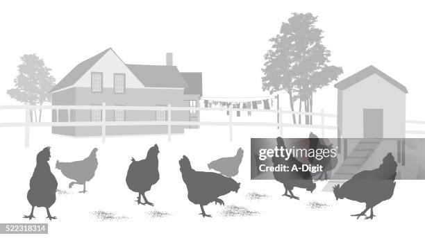 ilustraciones, imágenes clip art, dibujos animados e iconos de stock de país asamblea y pollo coop - picoteo