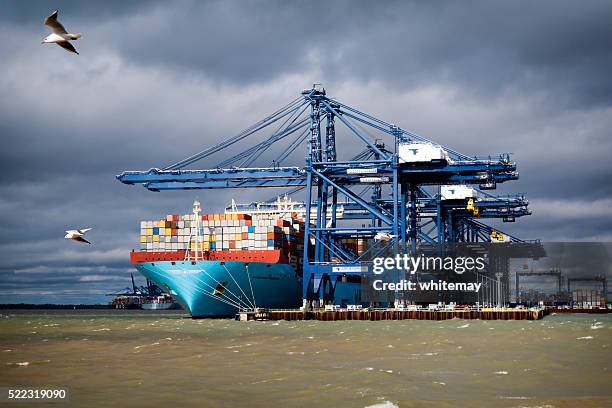 gran barco de carga con gaviotas volando en felixstowe - maersk fotografías e imágenes de stock