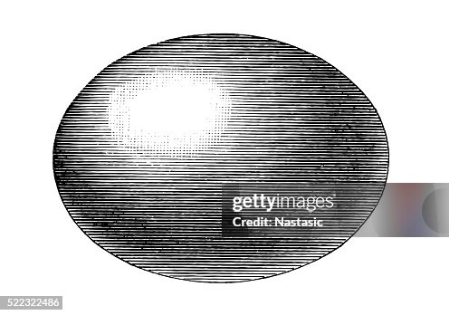 Egg ,ellipsoid Egg ,ellipsoid