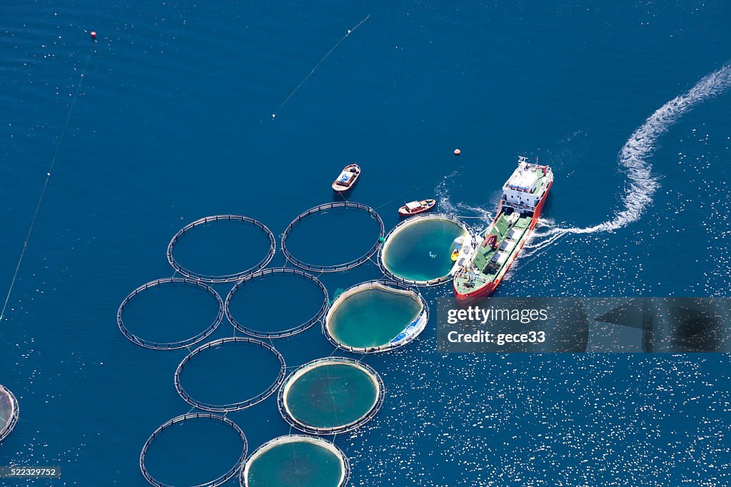 Luftaufnahme der Fischfarm