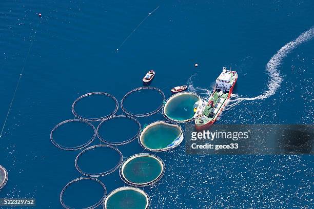 aerial view of fish farm - aquacultuur stockfoto's en -beelden