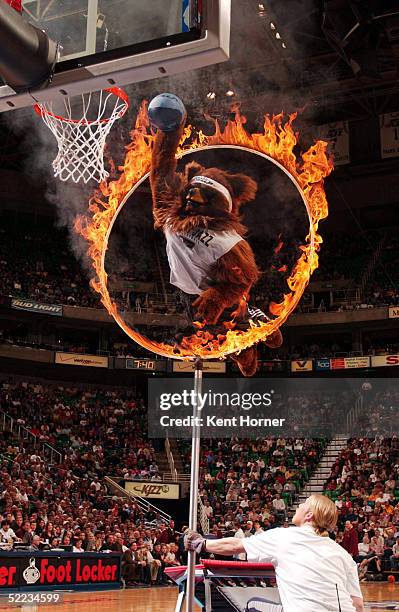 Mascot Bear of the Utah Jazz dunks through a ring of fire against the Dallas Mavericks on February 23, 2005 at the Delta Center in Salt Lake City,...