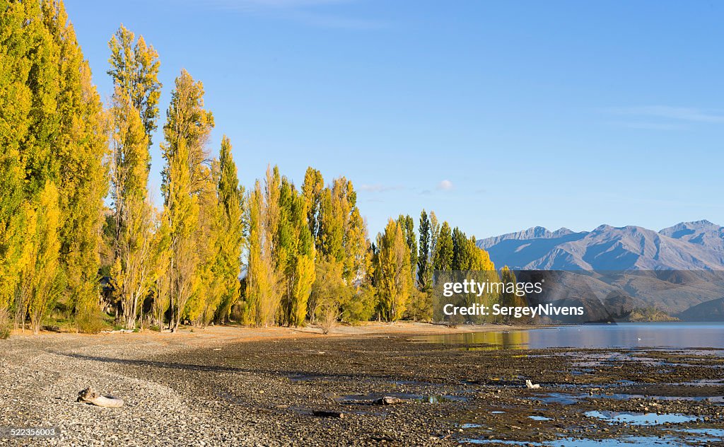 Picturesque landscape