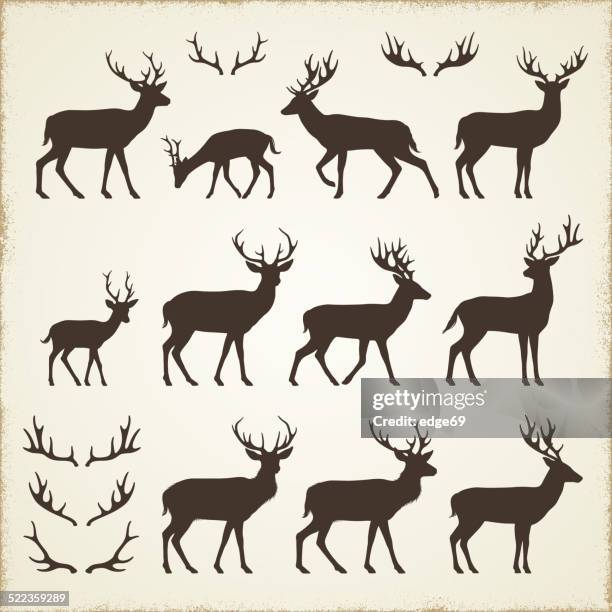 deer and antler silhouettes - deer family stock illustrations