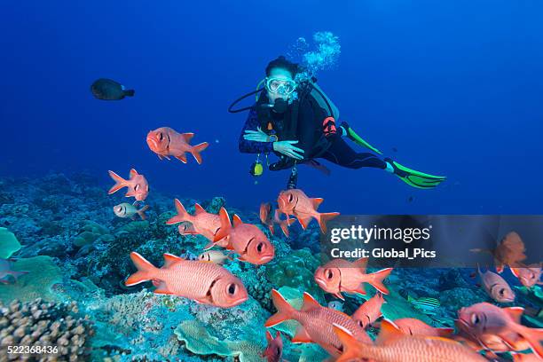 soldierfish and diver - palau, micronesia - bigscale soldierfish stock pictures, royalty-free photos & images