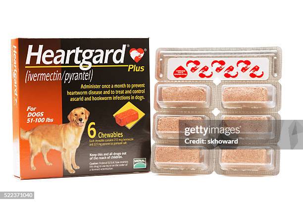 heartgard plus for dogs - dog worms stock pictures, royalty-free photos & images