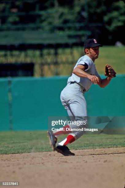 Shortstop Luis Aparicio of the Boston Red Sox moves to his left to field a ground ball during a 1971 game at Memorial Stadium in Baltimore, Maryland.