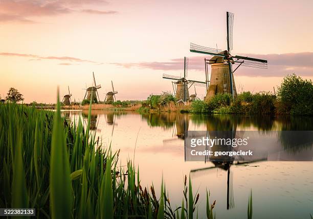 traditional dutch windmills at sunrise - netherlands stock pictures, royalty-free photos & images
