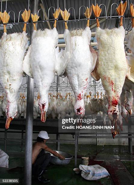 Duck Processing 141 Line Saigon Hanoi Stock Photos, High-Res Pictures, and Images ...