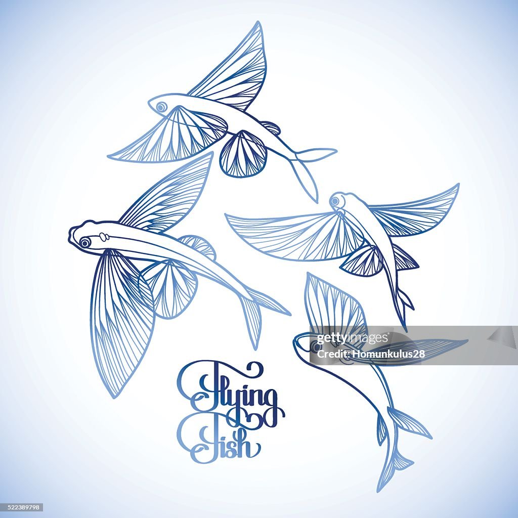 Flying Fish Bitmap Graphic Flying Fish Collection High-Res Vector Graphic - Getty Images