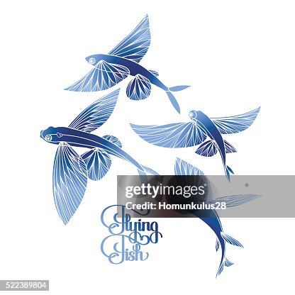 Flying Fish Bitmap Graphic Flying Fish Collection High-Res Vector Graphic - Getty Images