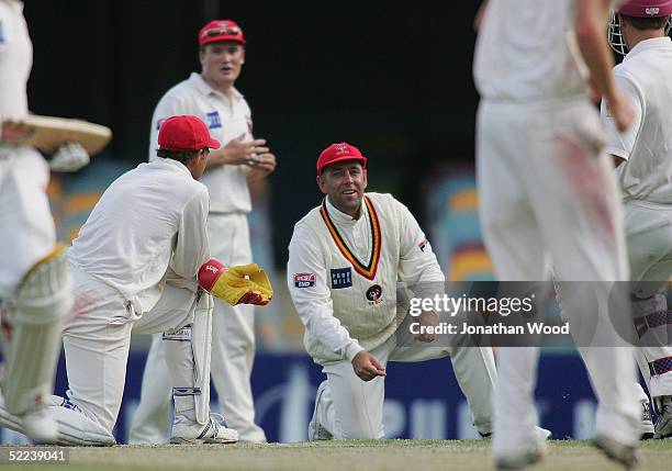 Darren Lehmann of the Redbacks laments after a dropped catch during day 2 of the Pura Cup match between the Queensland Bulls and South Australia...