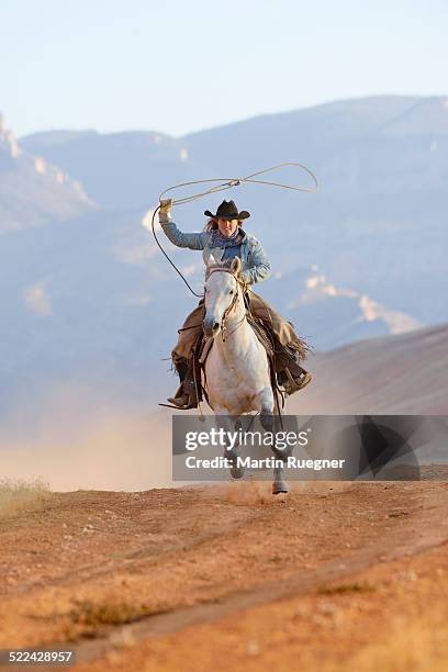 cowgirl galloping with lasso in hand. - laço corda - fotografias e filmes do acervo