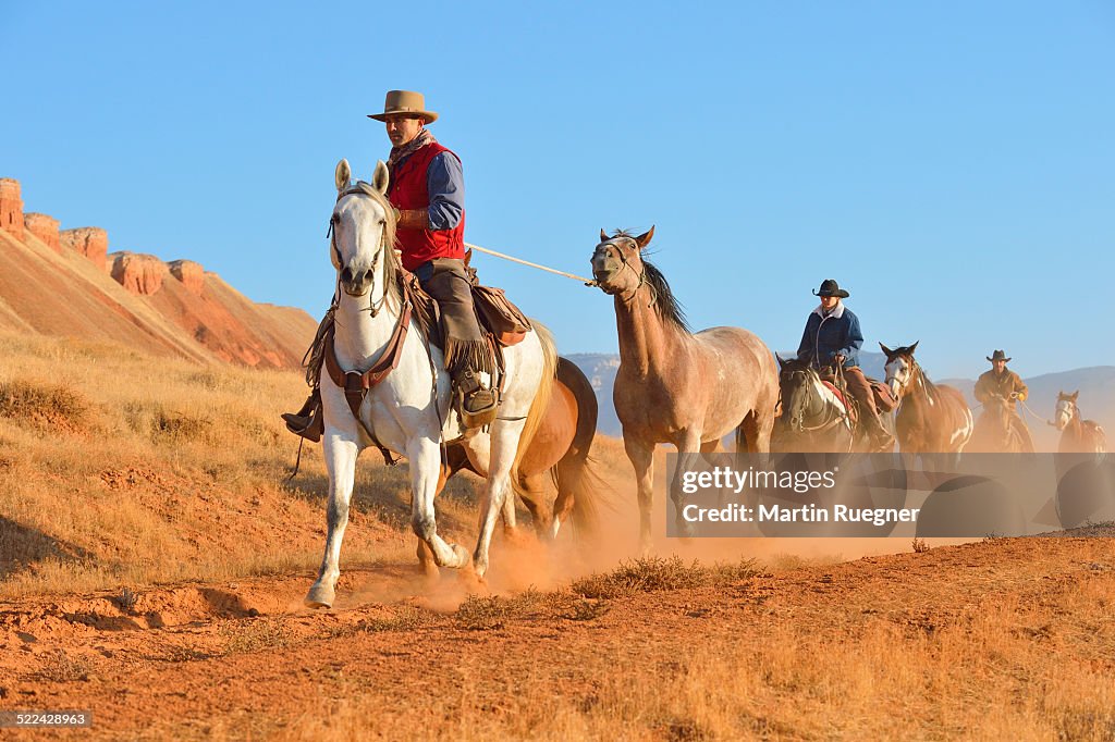 Cowboys leading horses at trail with dust.