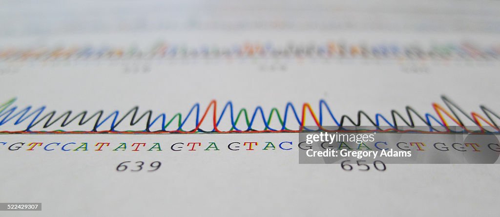 Laboratory results of a DNA Sequencing Study