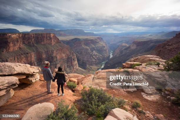 couple holding hands in grand canyon - couple grand canyon stock pictures, royalty-free photos & images