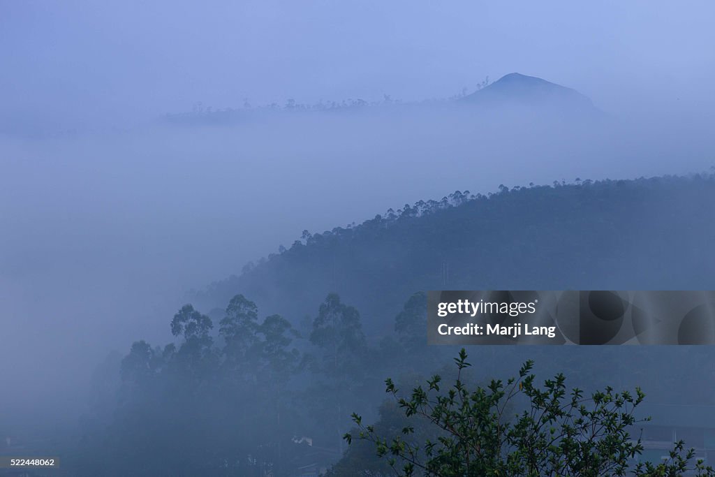 Misty early morning near Munnar, a hill station on the...
