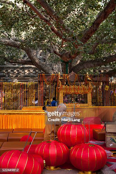 Chinese Buddhist monk is preparing a ceremony by the Bodhi tree inside the Mahabodhi Mahavihara temple of Bodh Gaya in Bihar, India.
