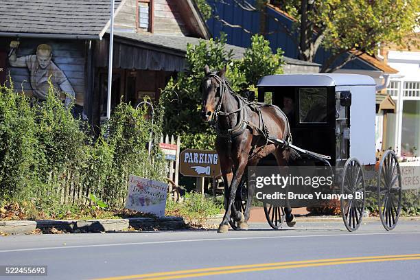 an amish buggy - amish stock-fotos und bilder