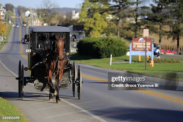 amish buggy on country road - amish people stockfoto's en -beelden